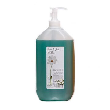 Sampon Farmavita Back Bar Mint pentru par uscat 5L