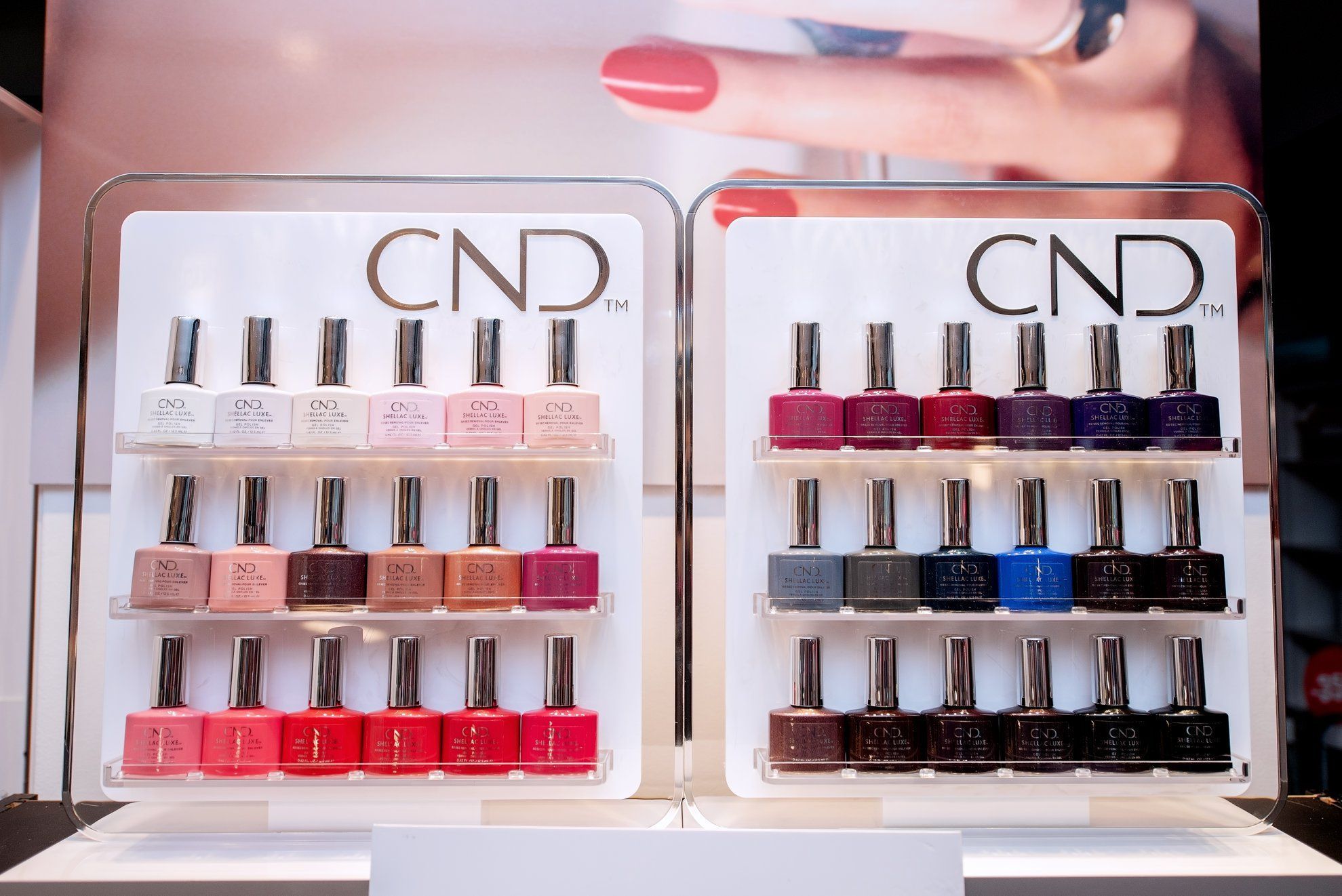 Lansare Shellac De Luxe - la Romania TV